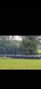 Silage bales