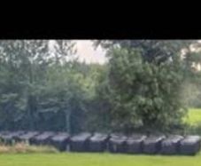 Silage bales