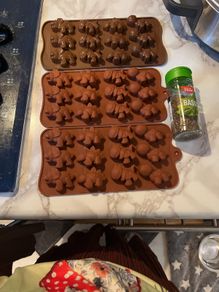 Dinosaur silicon mould