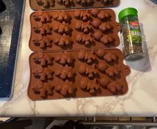 Dinosaur silicon mould