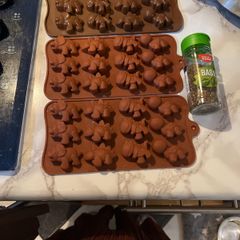 Dinosaur silicon mould
