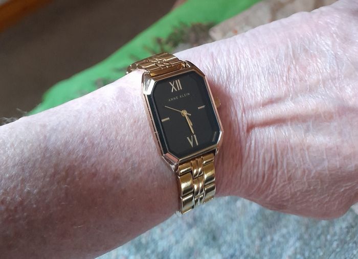 BNIB Anne Klein ladies watch