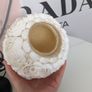 Sea Shell Boho Lamp || RRP 120 || NEW! Image 3