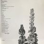 Antonio Carlos Jobim  |  Stone Flower Image 3