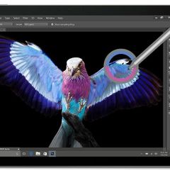 Microsoft Surface Book 2 Tablet only 13.5" Touchscreen Win 11 Pro i5 8GB RAM 256GB SSD