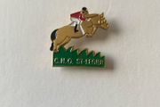 pin badge