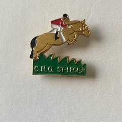 pin badge