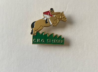 pin badge
