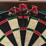 Phil taylors 24g G11 95K Darts Image 3