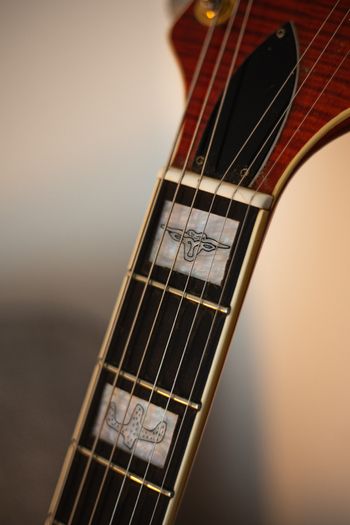 Gretsch 6120W Nashville Western