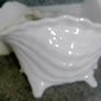 Large China Shell Image 4