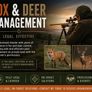 Fox and deer control Image 2