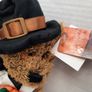 new collectable teddy with pumpkin tag attached Image 2