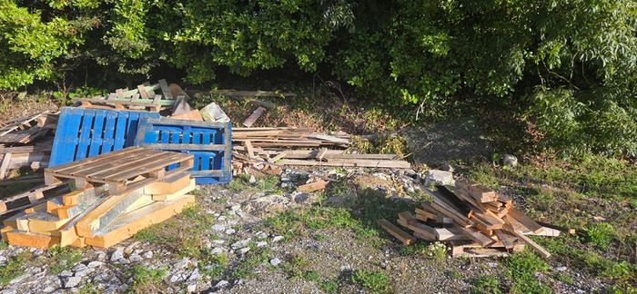 Free timber
