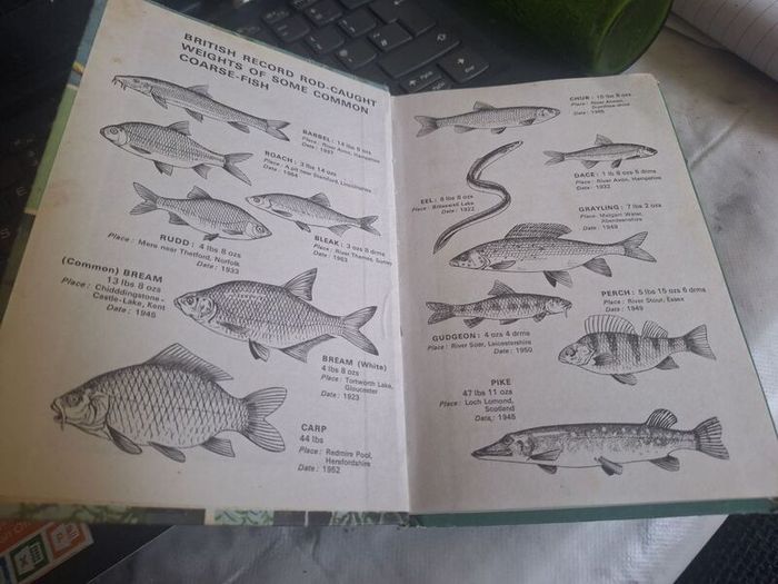 Vintage Ladybird Coarse Fishing Book