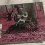 Kula Shaker - Peasants, Pigs & Astronauts Cd Image 3