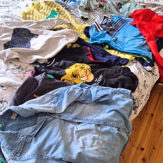 Boys Premium Designer Bundle (age 7-8, 25 Tops) - Hugo Boss, Mini Boden, Hilfiger, Zara