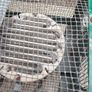 old antique vintage THING steel cage bulbs element  3 PIN PLUG HORACE W STEPHENS  no clue what it is? Egg incubator Image 6