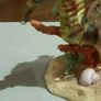 Fairy riding a seahorse Image 4