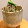 Pant pot / vase Image 5