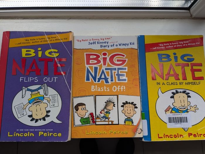 Big Nate books