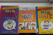 Big Nate books