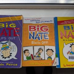 Big Nate books