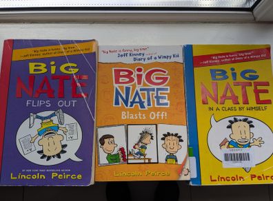 Big Nate books