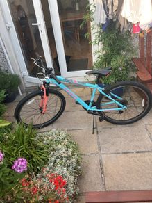 Team 26" mountain bike
