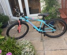 Team 26" mountain bike