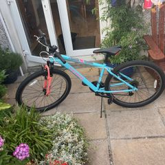 Team 26" mountain bike