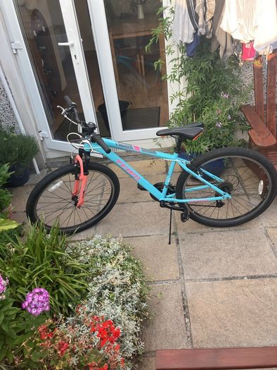 Team 26" mountain bike