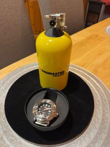 Citizen pro master (Ecozilla)