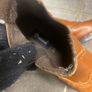 chelsea boots Image 3