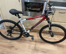 Mens bike