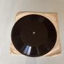 Rare floppy vinyl demo The unexplained vista records 1971 Image 2
