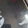 EMPEROR: Wrath of the Tyrant- Framed cover signed by Samoth and Ihsahn Image 3