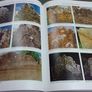 Ballintober old graveyard and the grave memorials of Co. Roscommon Signed Image 8