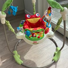 Fisher Price Jumperoo