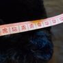 BNWOT Black faux fur scarf Image 5