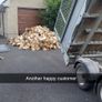 timber for sale Image 2