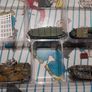 Flames of War, StuG G Platoon, GBX25? Image 2