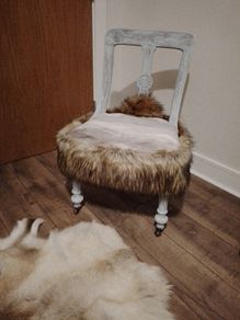 chair