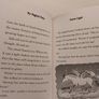My Magical Pony Story Books by Jenny Oldfield Image 8