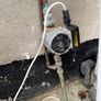 domestic circulating pump Image 2