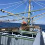 Boat Mfv Image 5