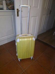 Cabin suitcase