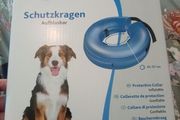 Dog protective Collar