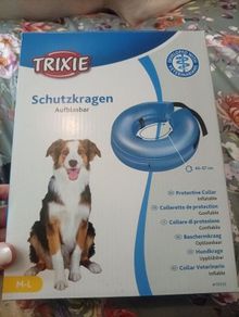 Dog protective Collar