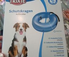 Dog protective Collar